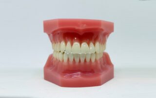Does Enamel Composition Affect How Prone We Are to Tooth Decay?