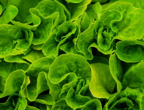 Could Eating Leafy Greens Be Better for Oral Health Than Mouthwash?
