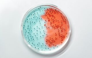 How Is the Bacteria in Our Mouth Linked to Depression?