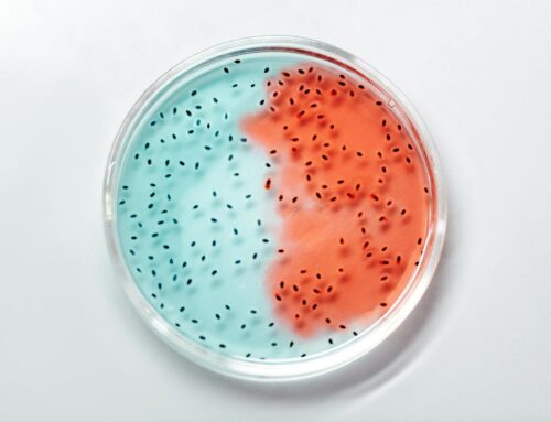 How Is the Bacteria in Our Mouth Linked to Depression?